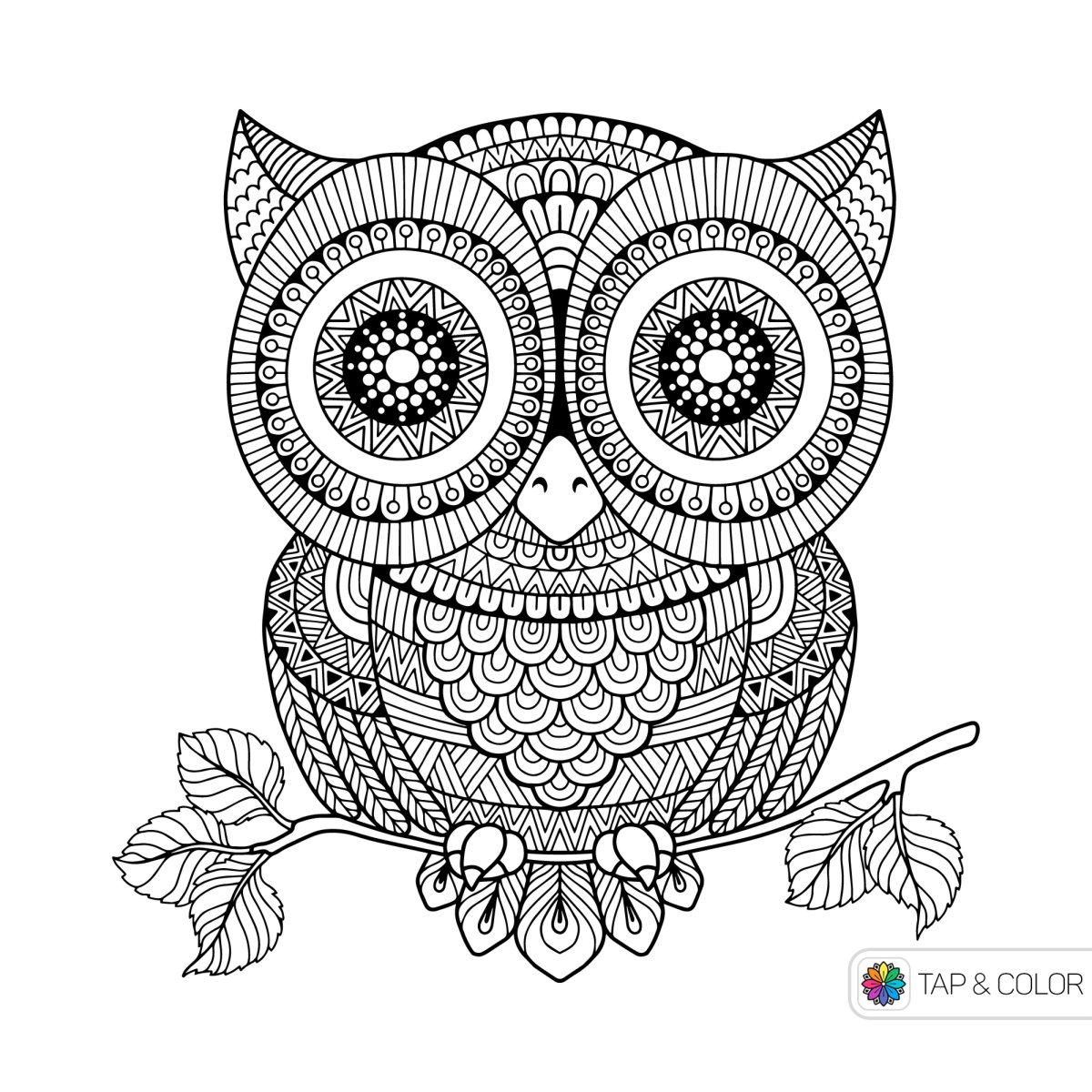 Совушки мандалы раскраски