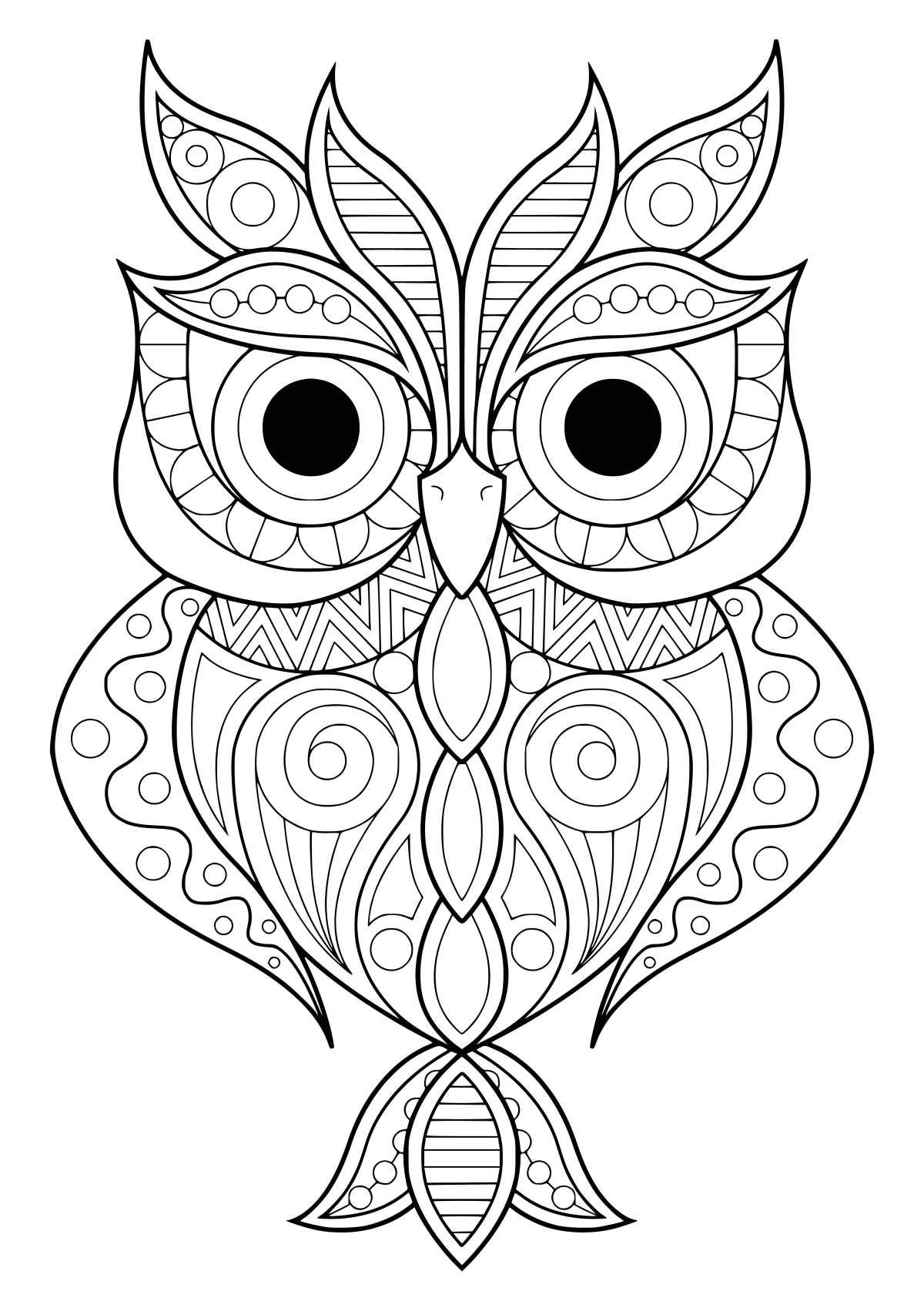 Сова раскраска