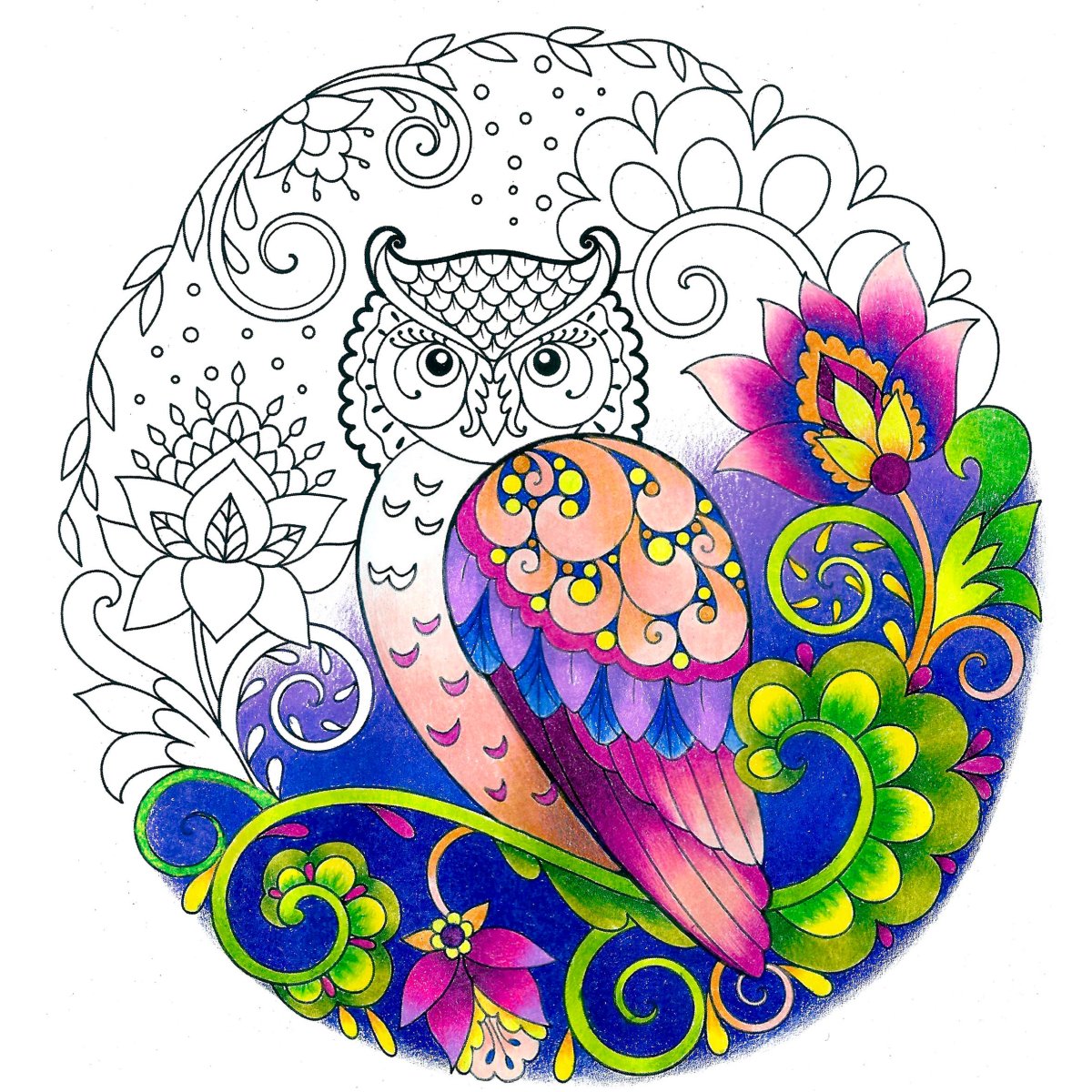 Мандала Сова в цвете