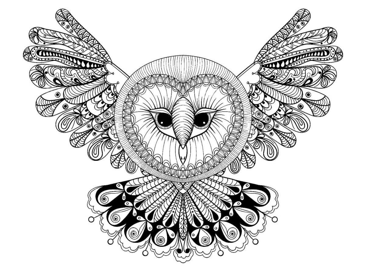 Сова раскраска мандала