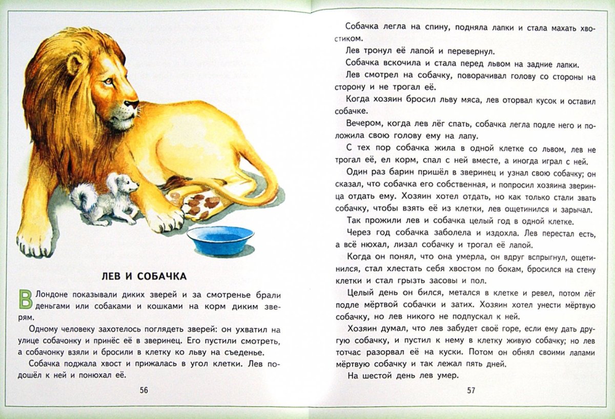 Произведение Льва Николаевича Толстого Лев и собачка