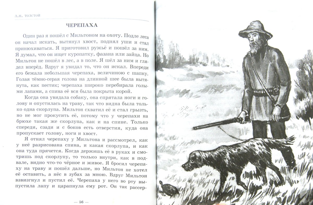 Рассказ черепаха толстой