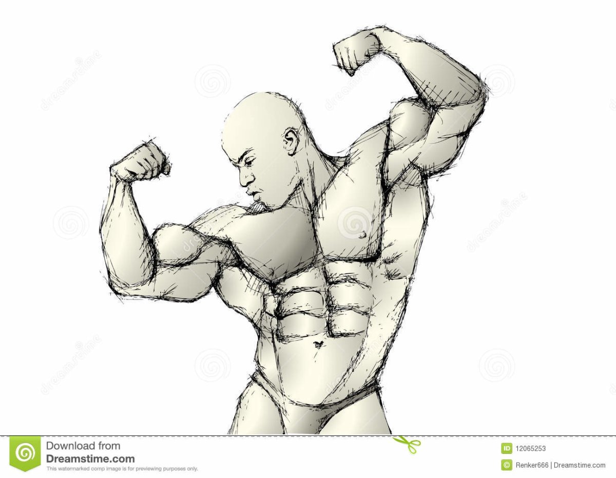 Бодибилдинг рисунки карандашом