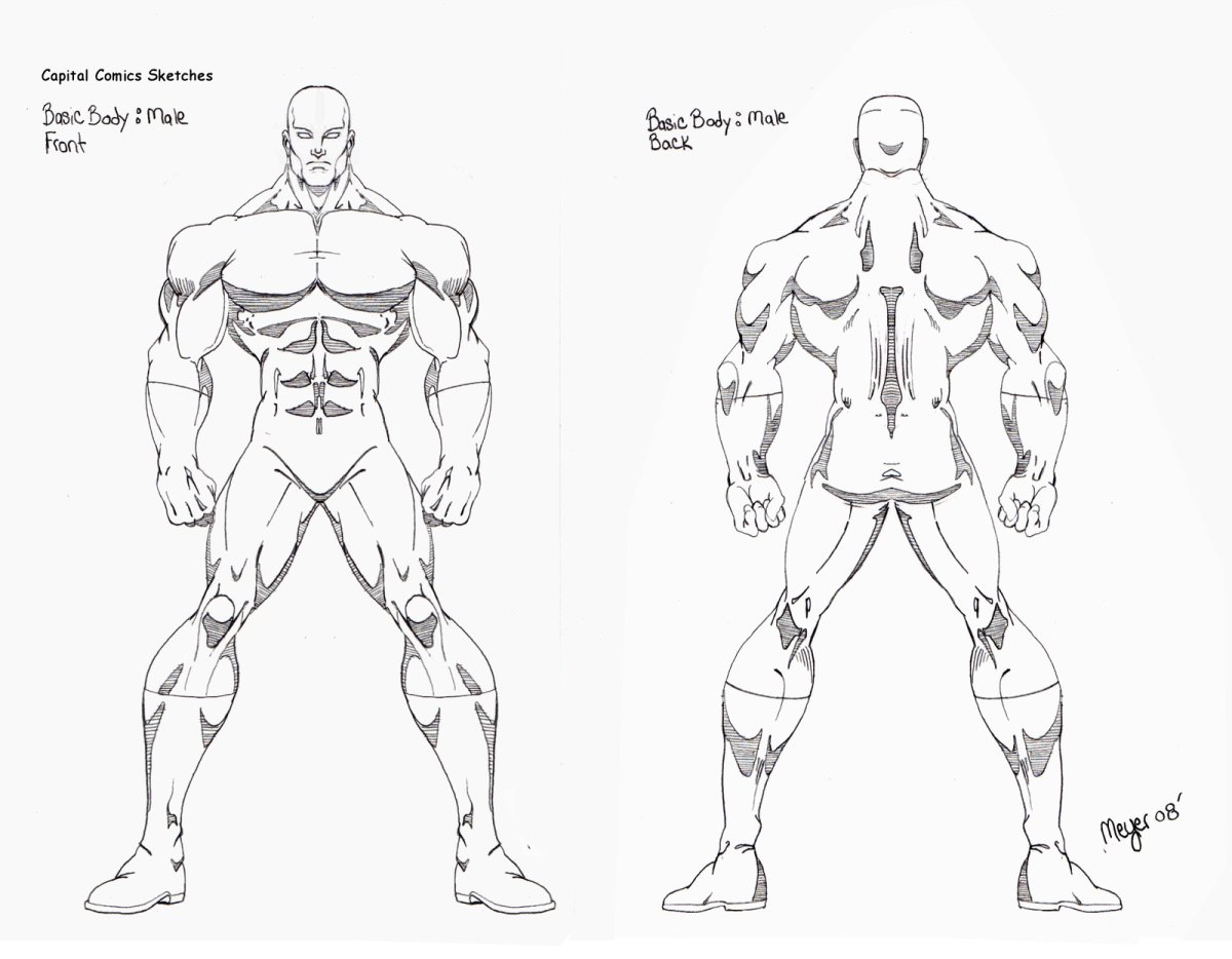 Качки референс скетчи