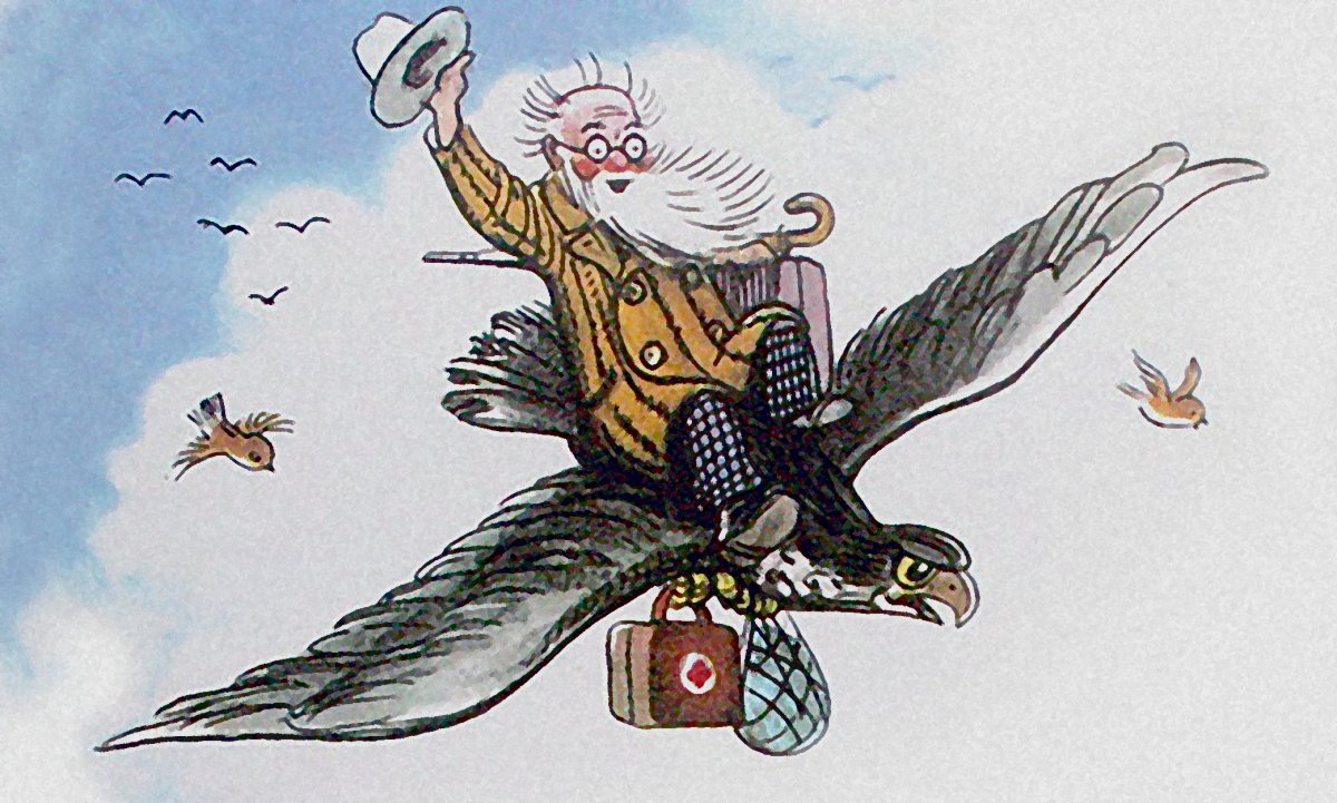 Айболит Шакал на кобыле