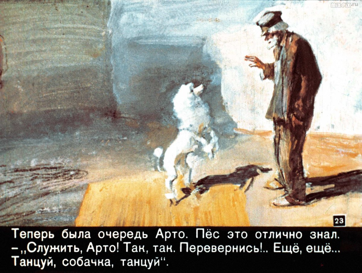 Белый пудель из рассказа Куприна