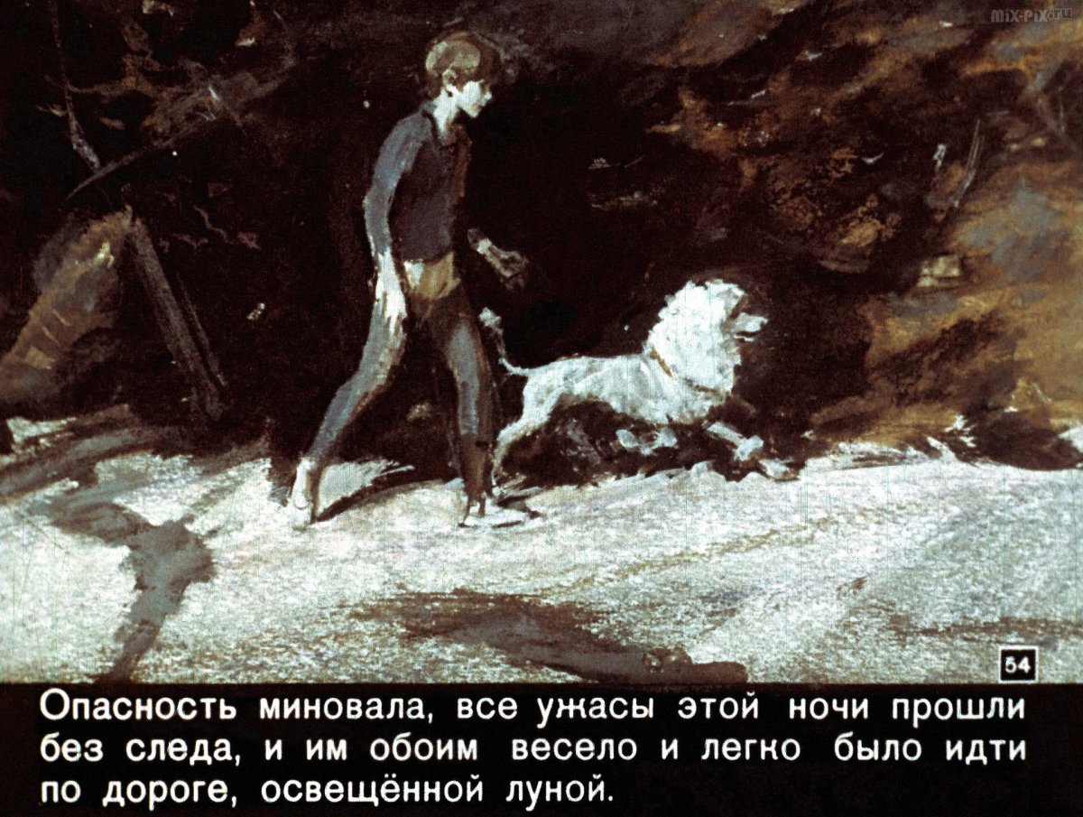 Иллюстрация к 3 главе белый пудель