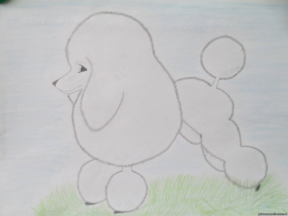 Куприн АИ белый пудель