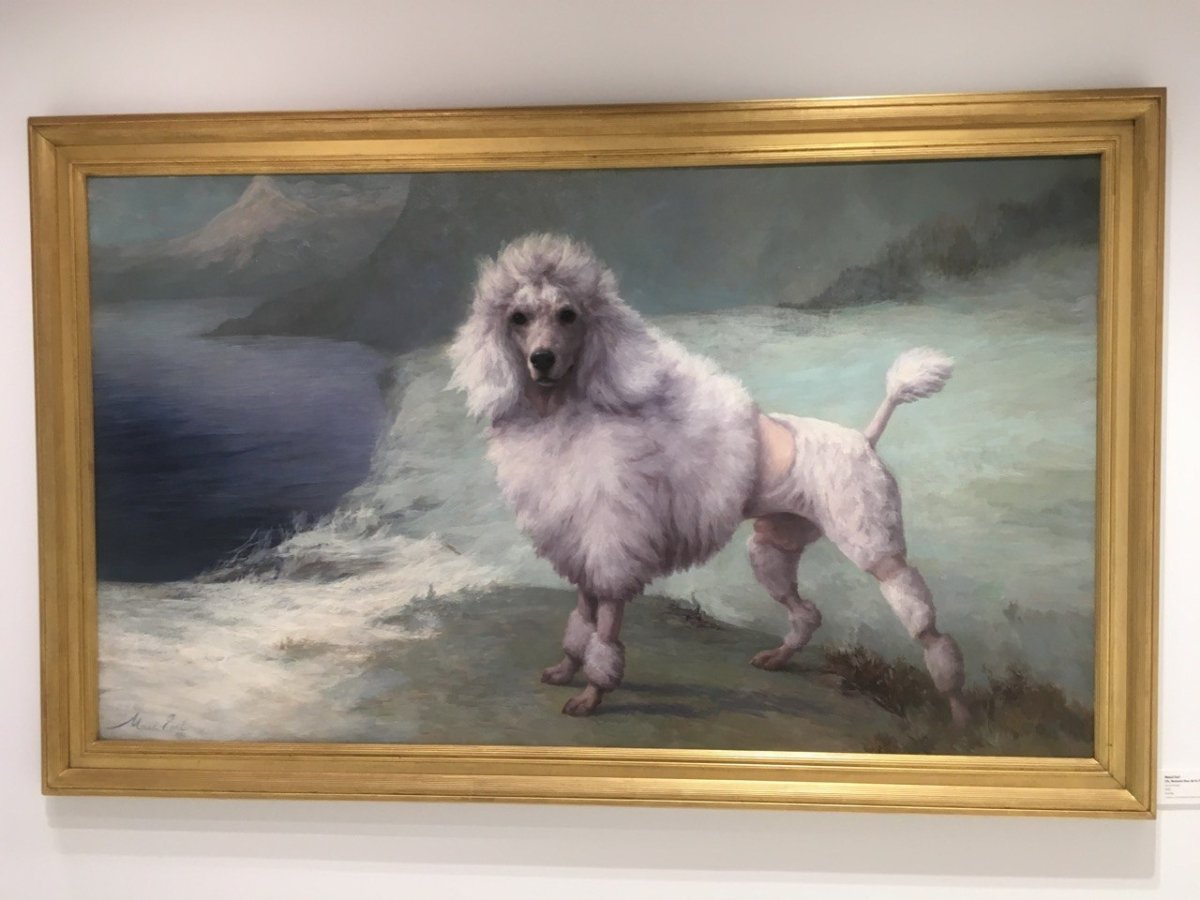 Сергей из рассказа белый пудель