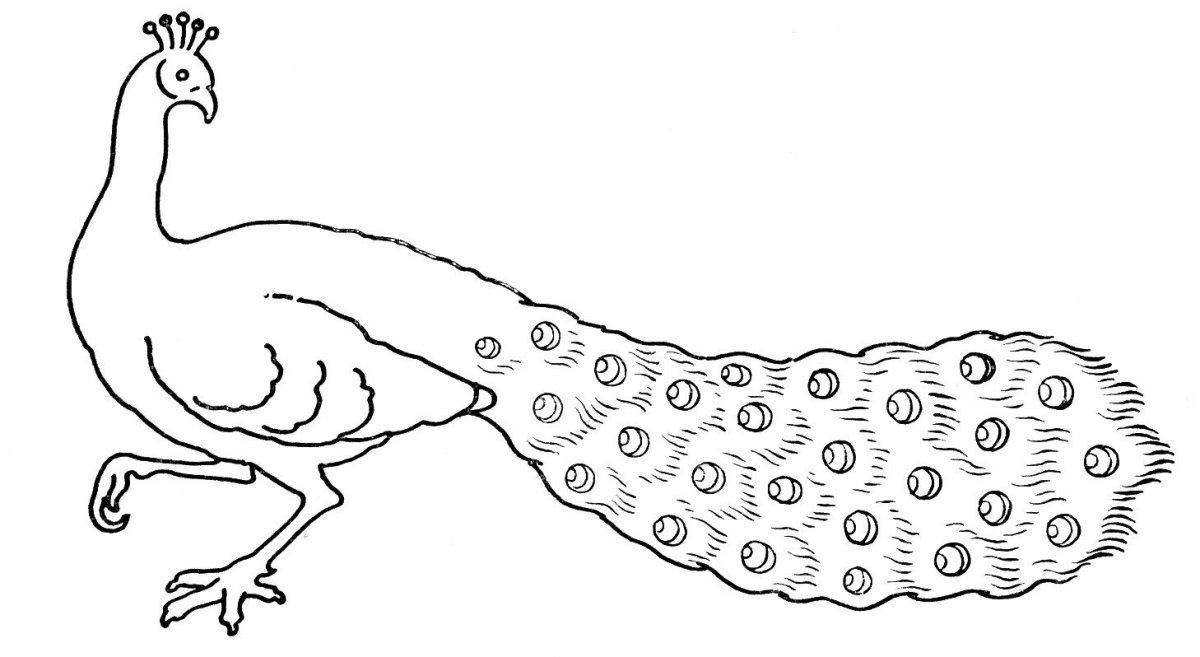 Раскраска милый Правлин