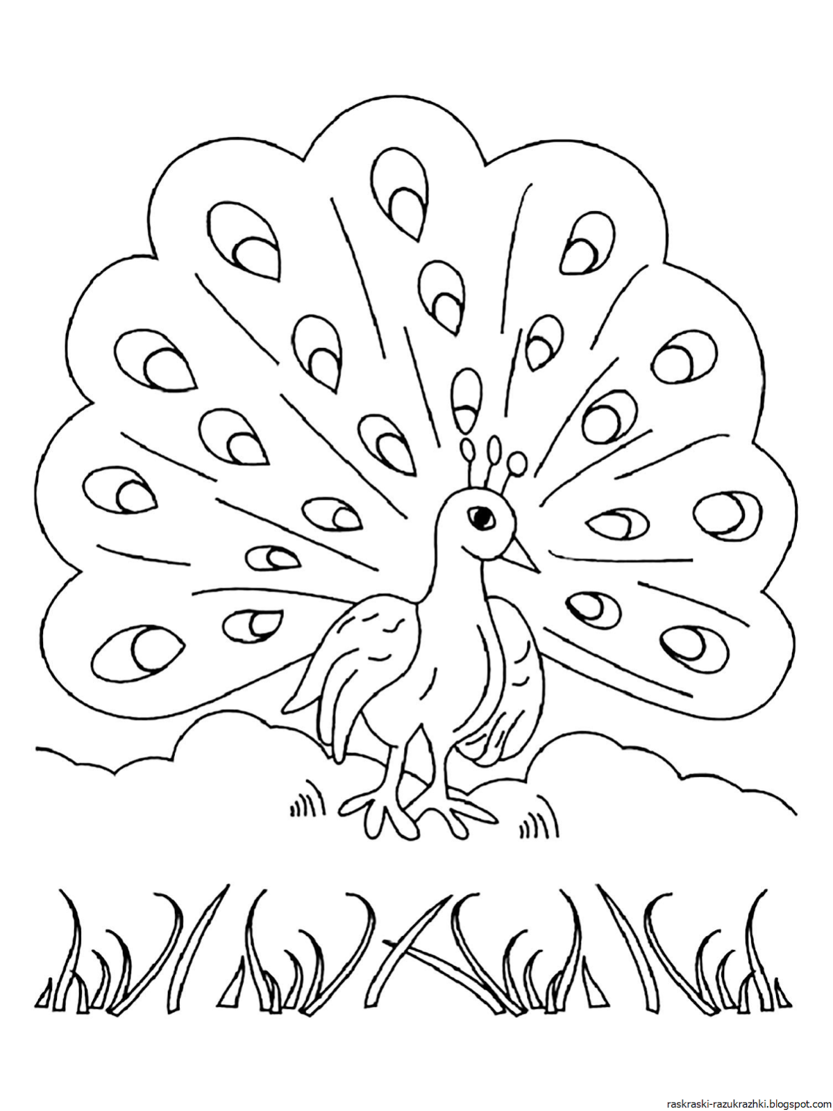 Жар птица раскраска