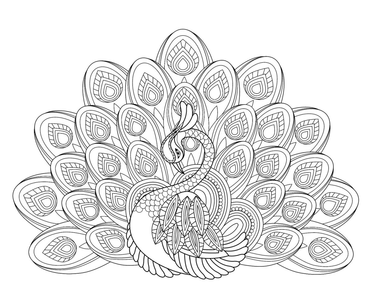 Жар птица раскраска