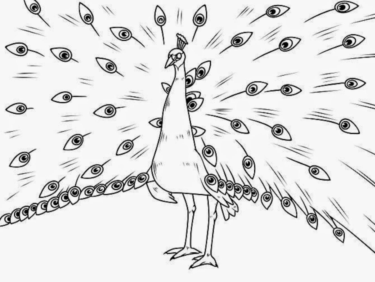 Павлин раскраска для малышей