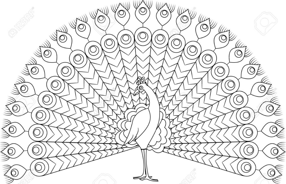 Павлин раскраска для детей пластилином