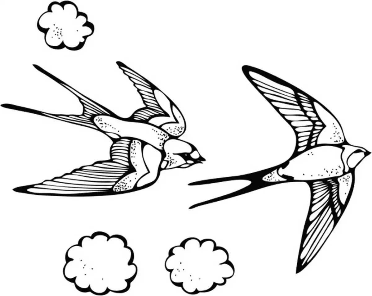 Ласточка рисунок для детей