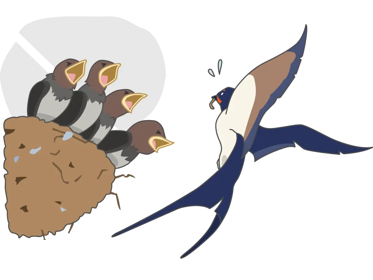 Ласточка раскраска для детей