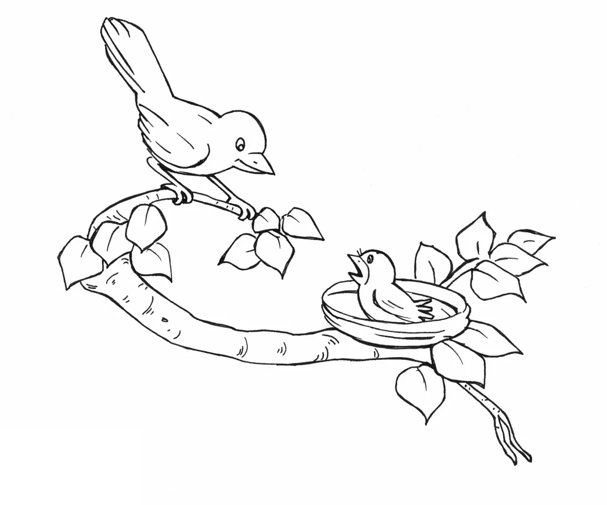 Гнездо раскраска