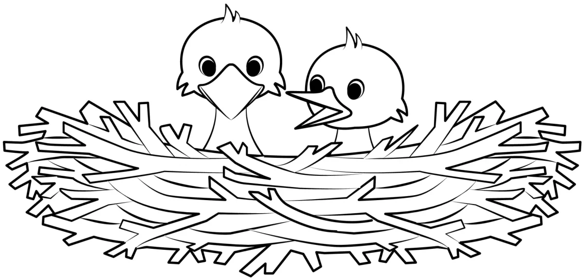 Гнездо для птиц.