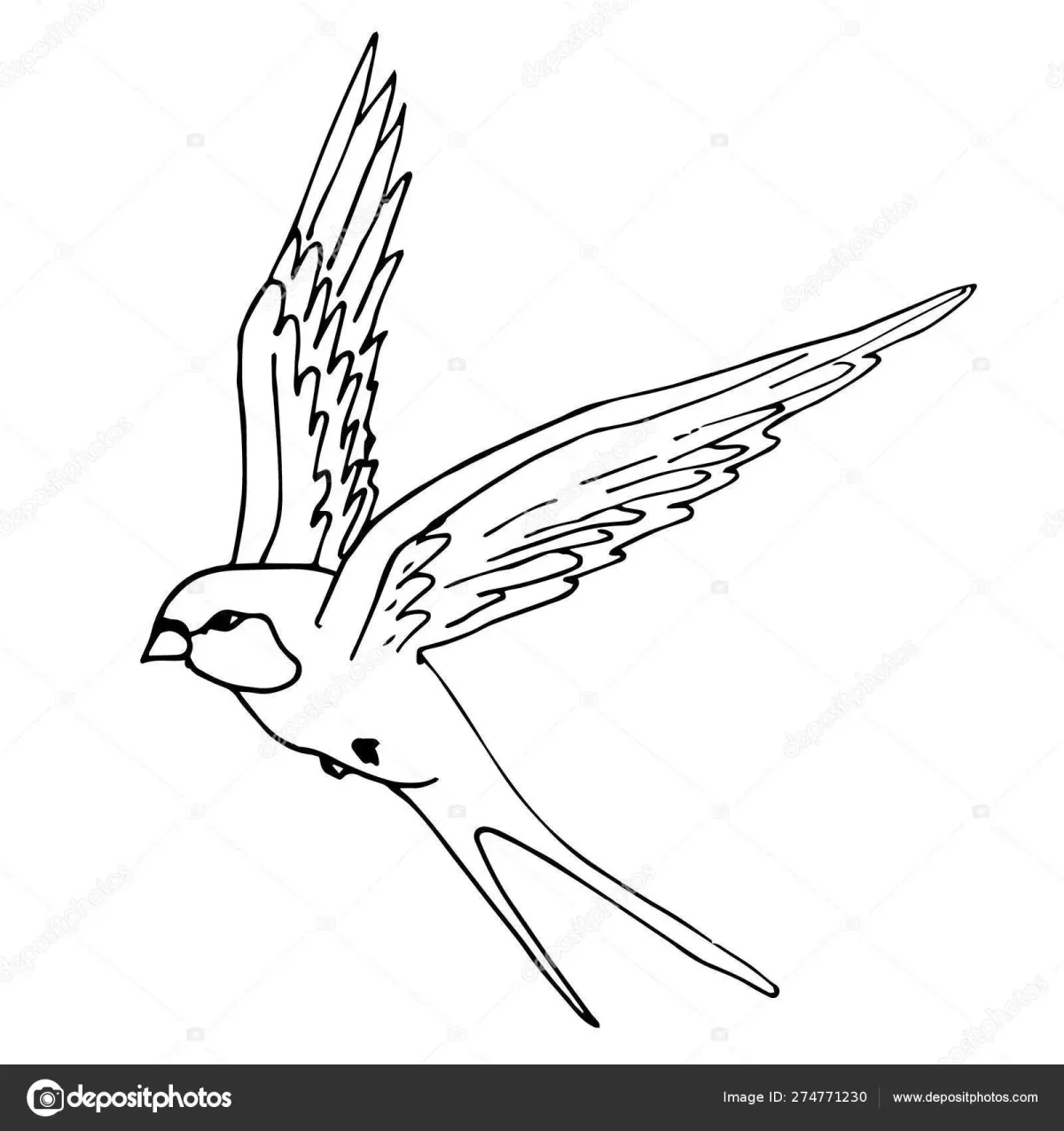 Раскраска птенцы в гнезде