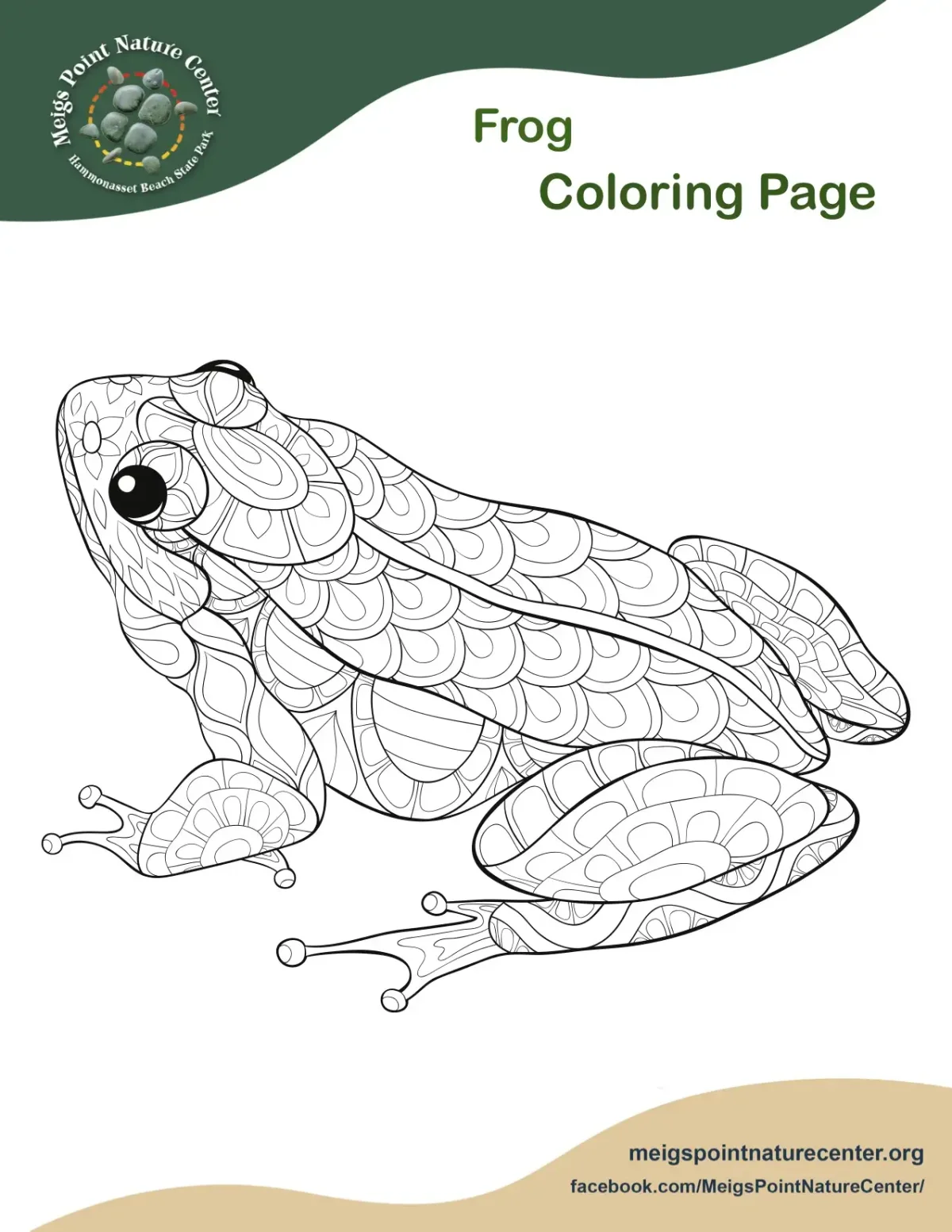 Лягушка в луже