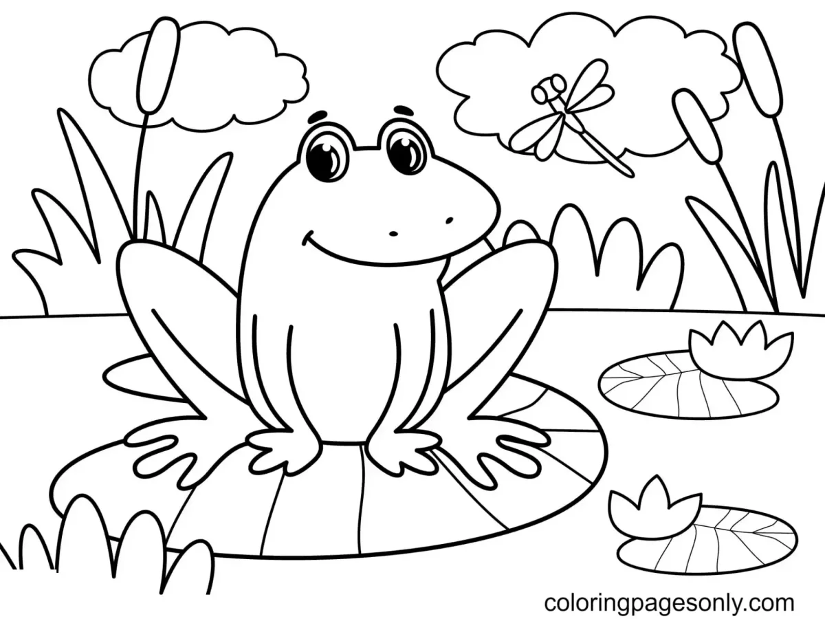 Лягушка на бревне раскраска