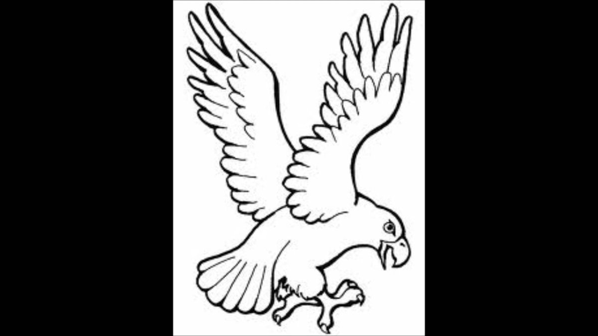 Орел раскраска