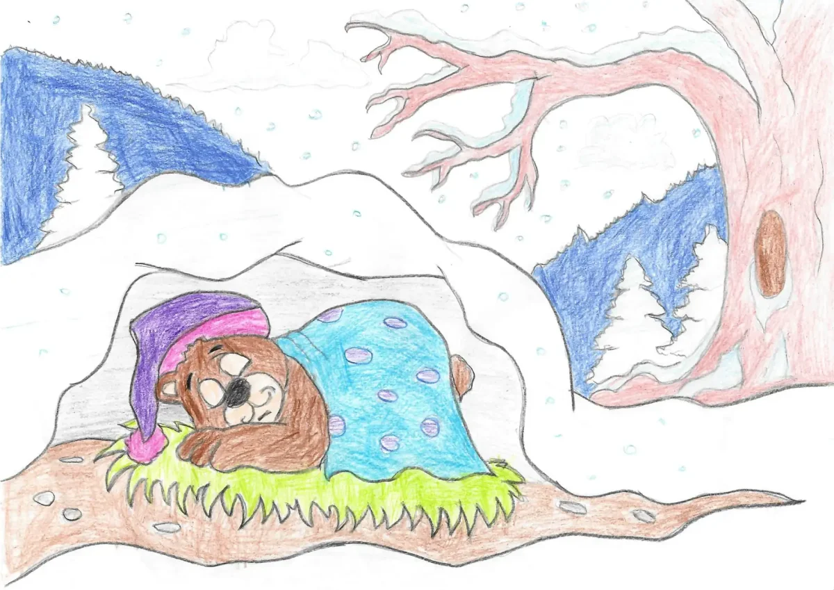 Берлога медведя