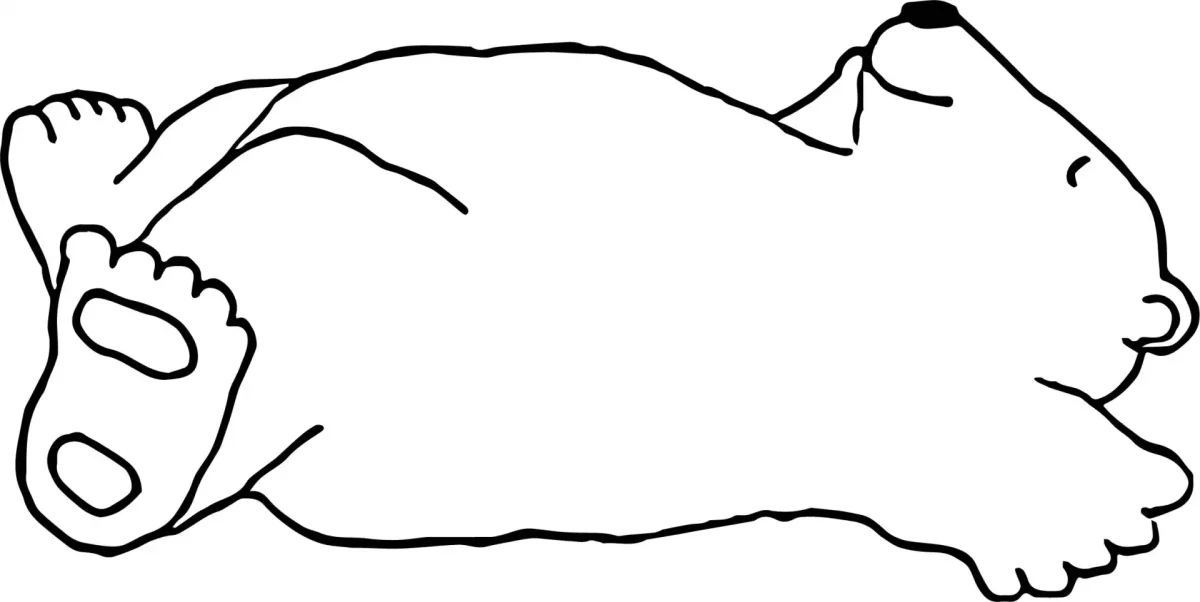 Медведь в берлоге вектор