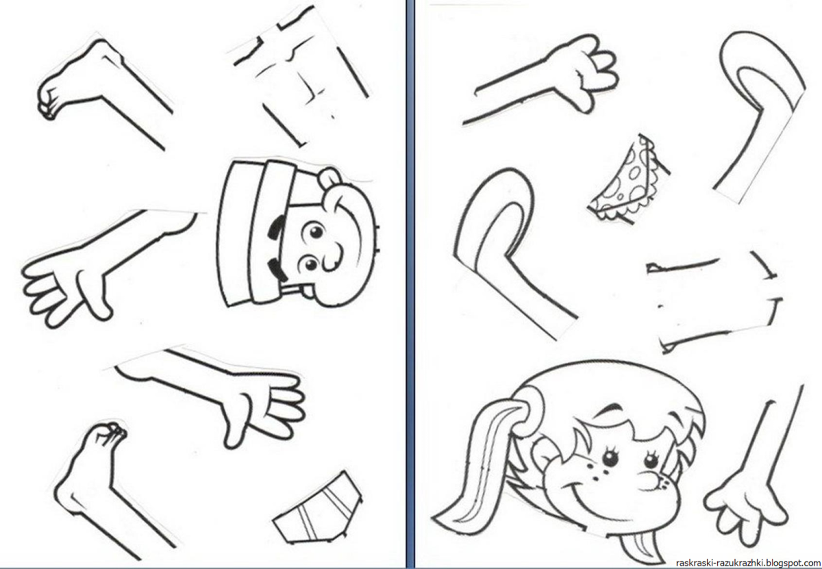 Тело человека для детей