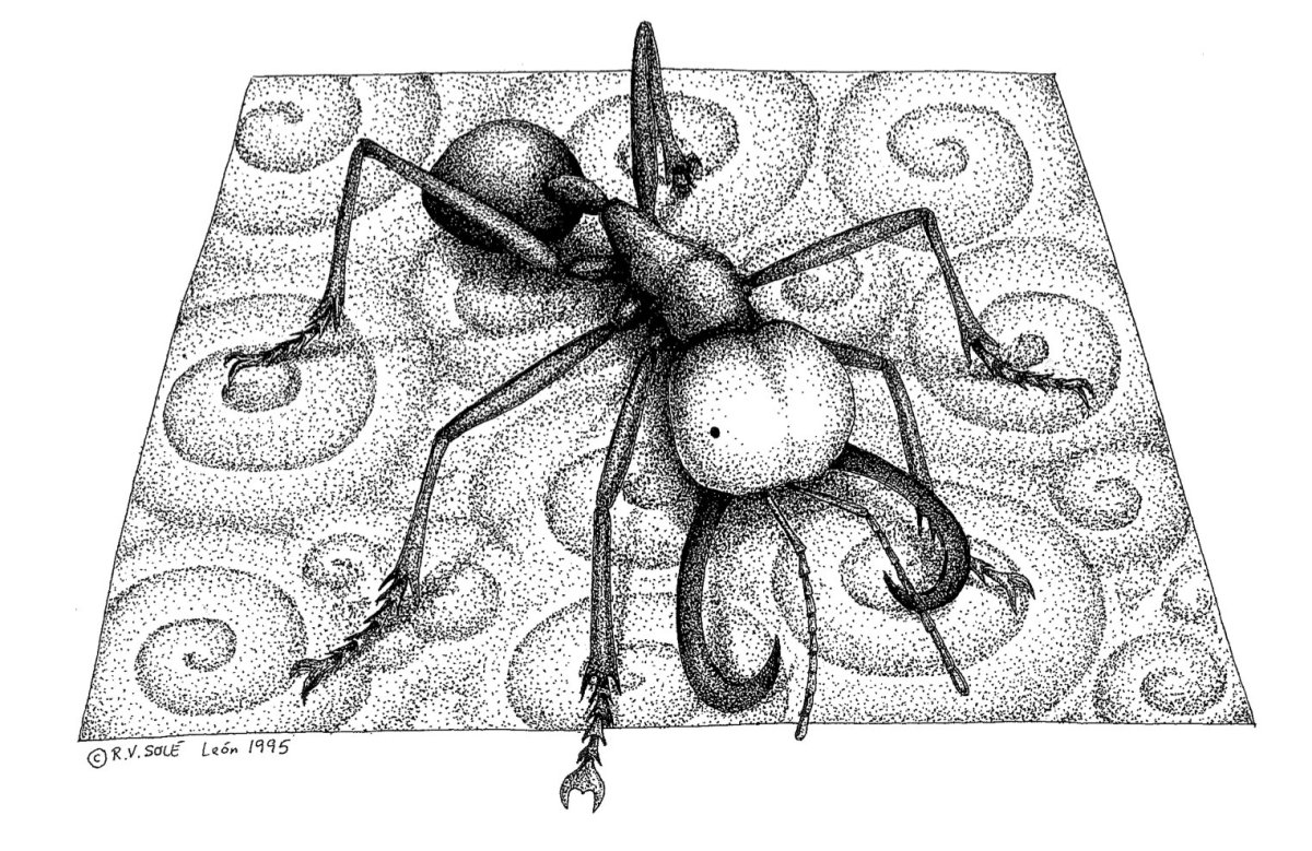 Картинка Муравейник для раскрашивания.