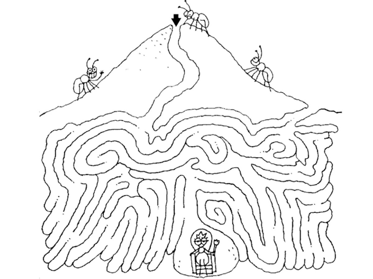 Лабиринты для детей