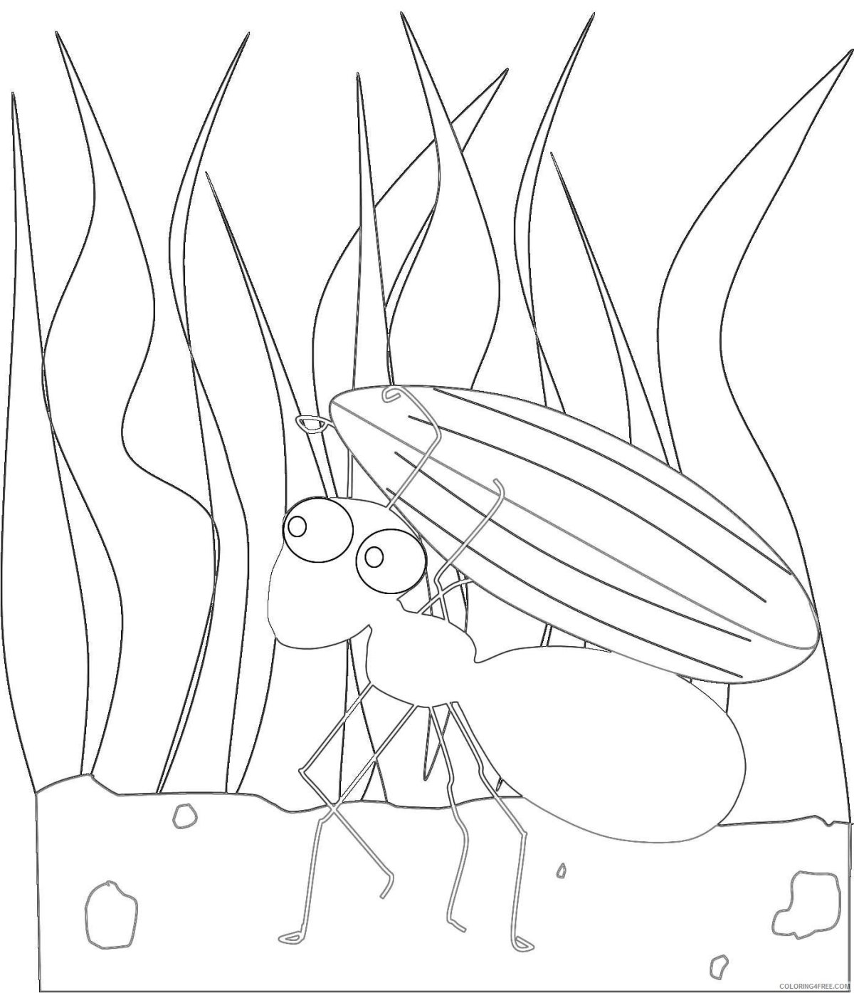 Кордицепс муравей зомби