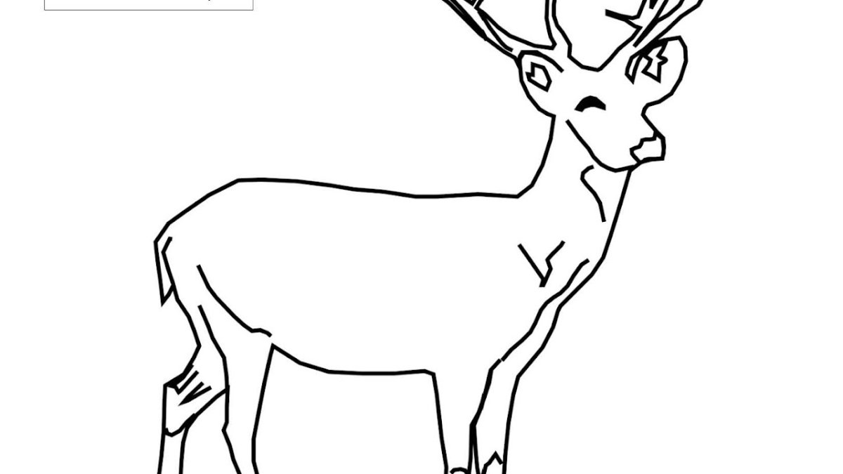 Зарисовки животных тушью