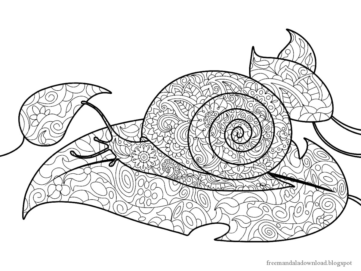 Раскраска улитка сложная