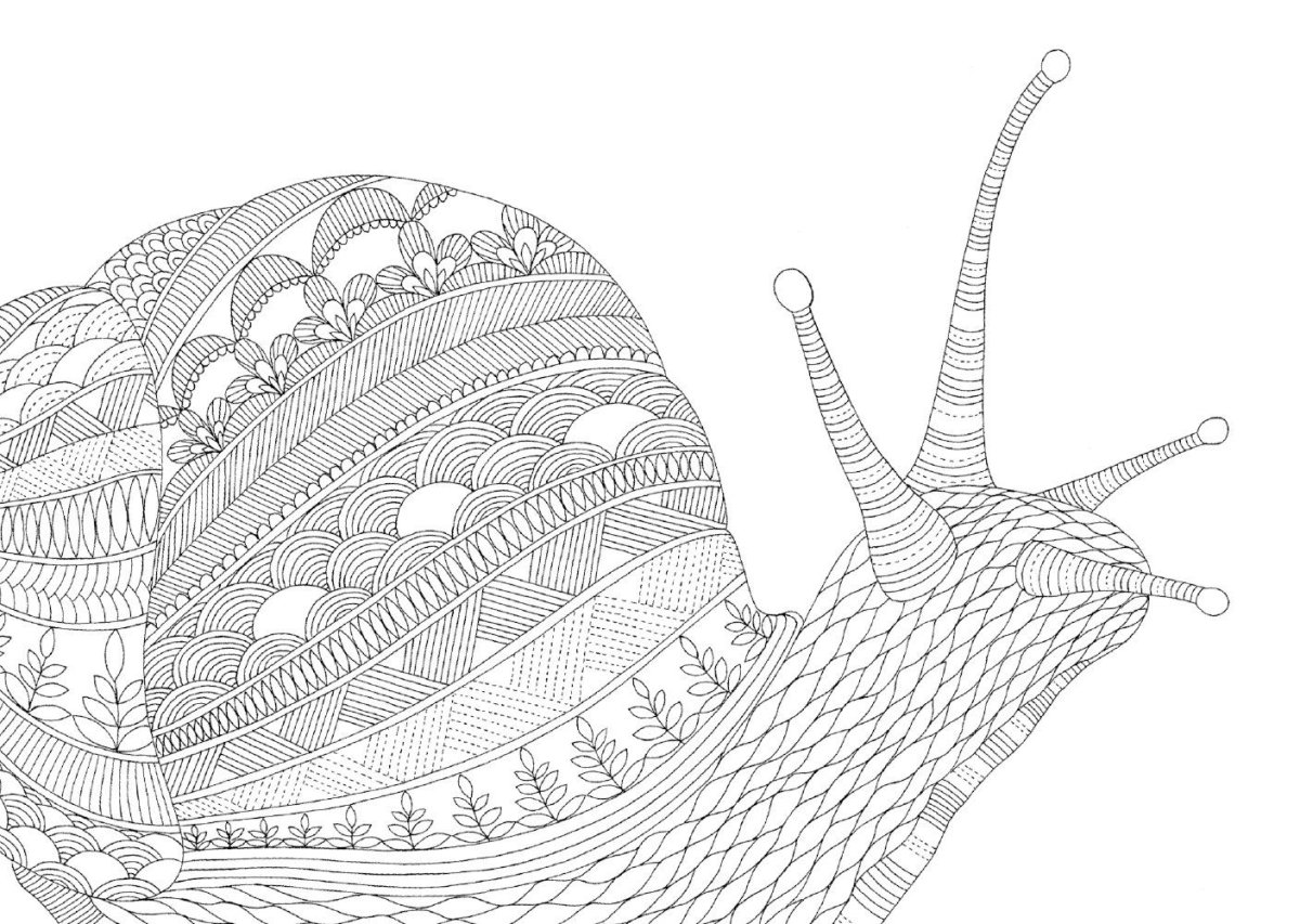 Улитка раскраска для взрослых