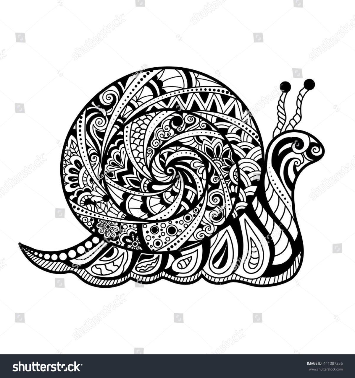 Улитка раскраска для взрослых