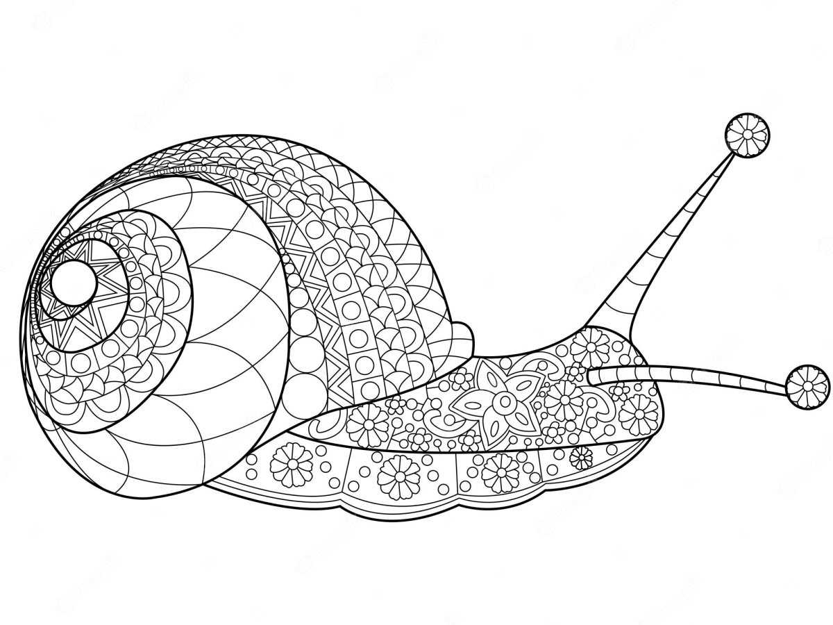 Декоративная улитка черно белая Графика