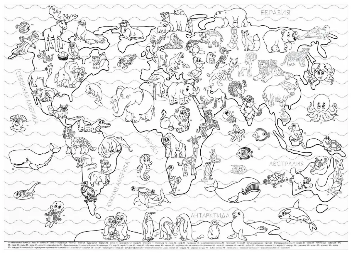 Карта мира раскраска