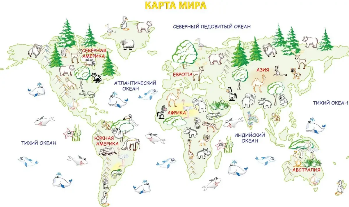 Контурная карта по географии политическая карта мира