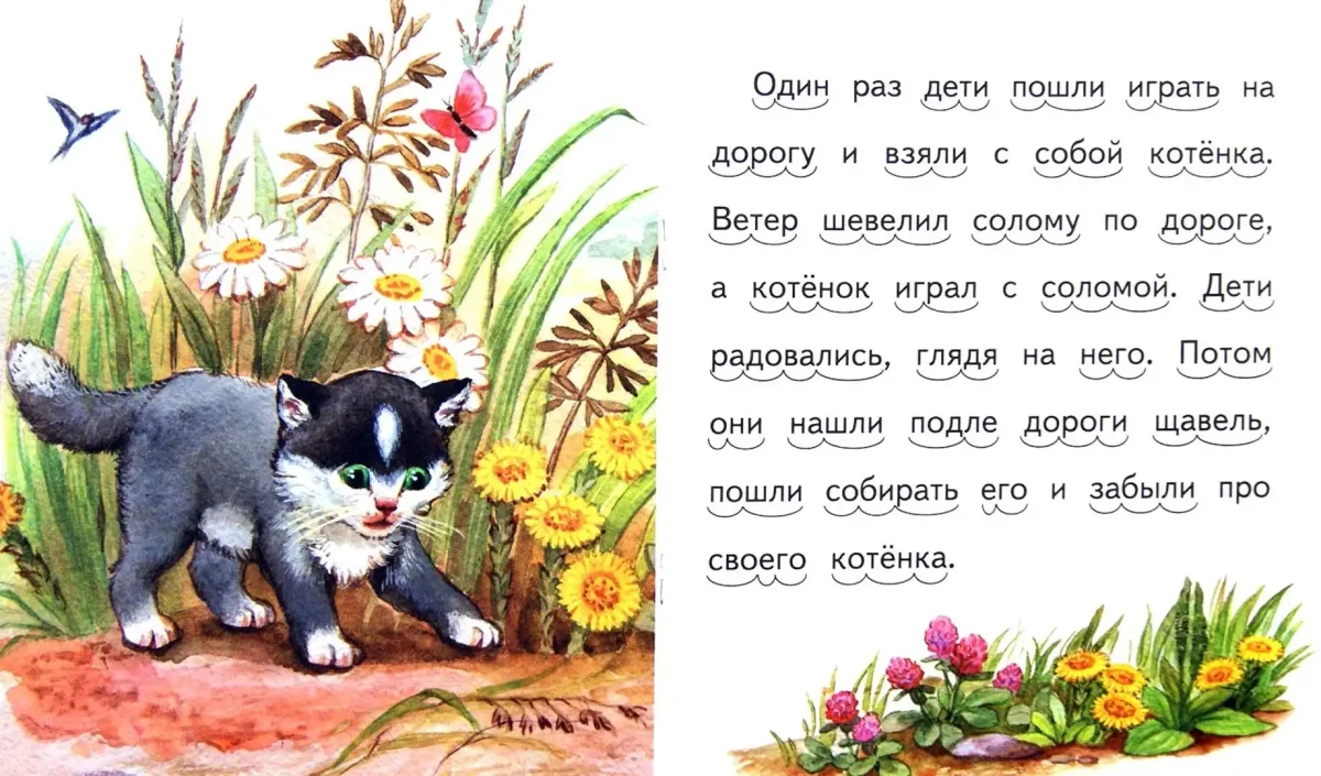 Скребицкий кот Иваныч раскраска