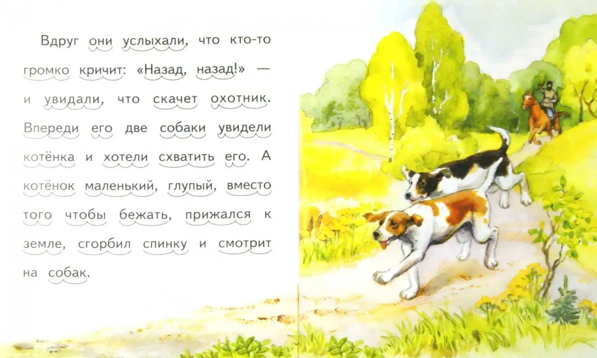 Раскраска. Котики