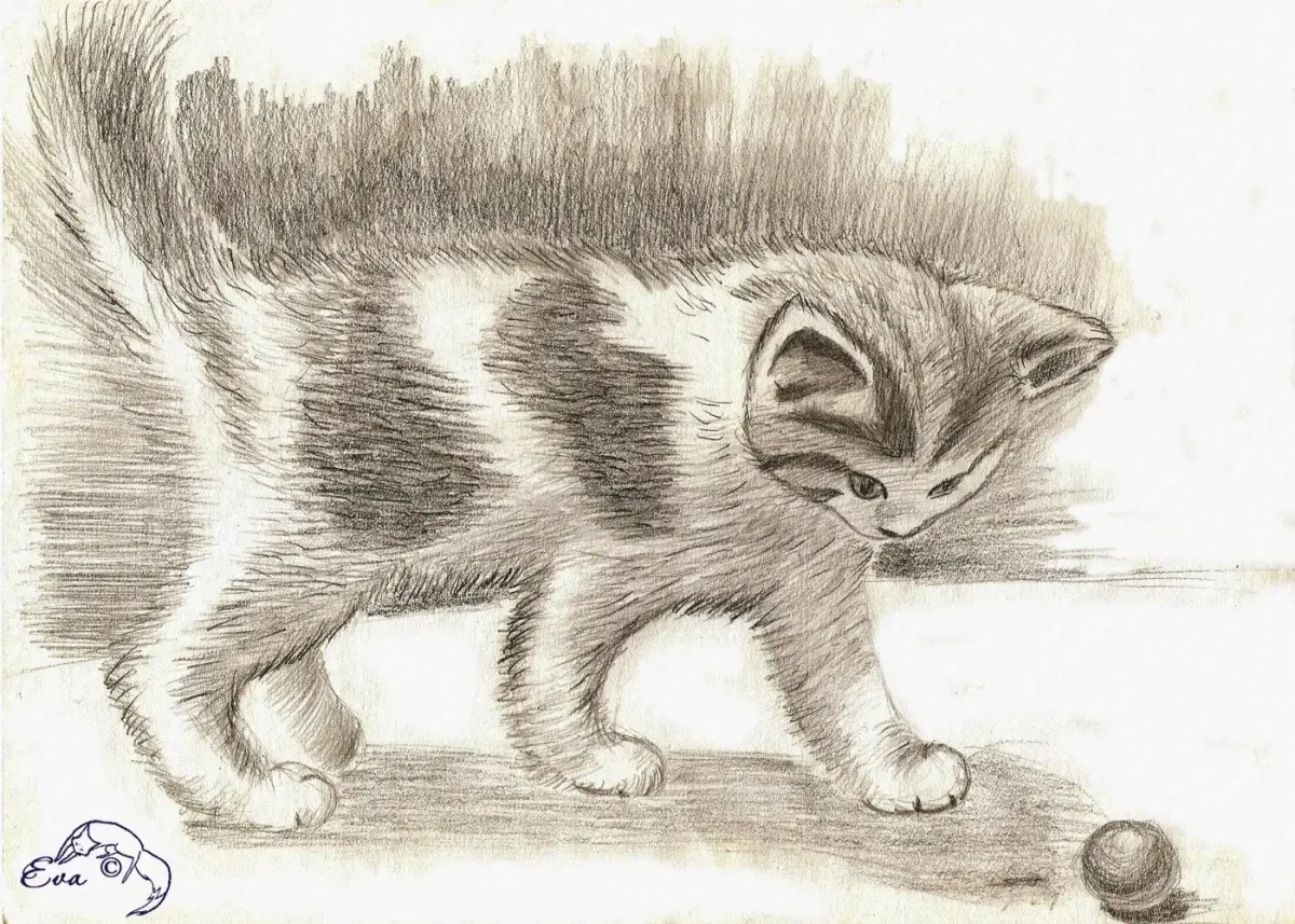 Толстой котенок иллюстрации