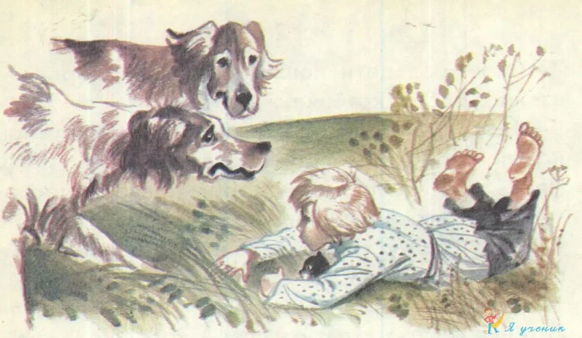 Раскраски на тему доброта