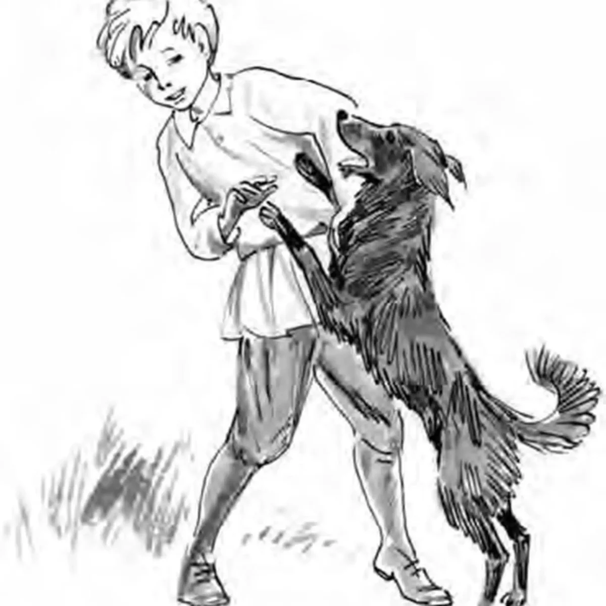 Раскраски для девочек кошки