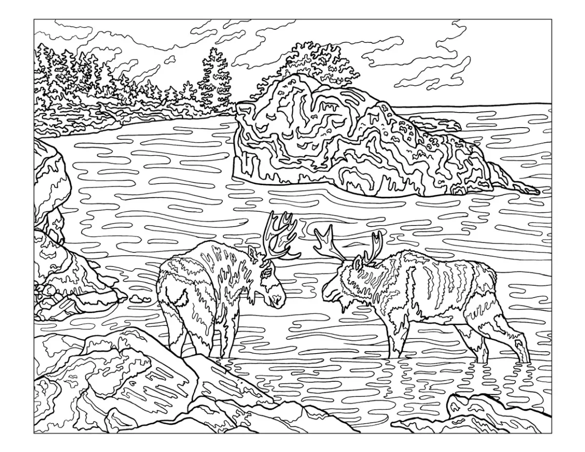 Национальный парк рисунок