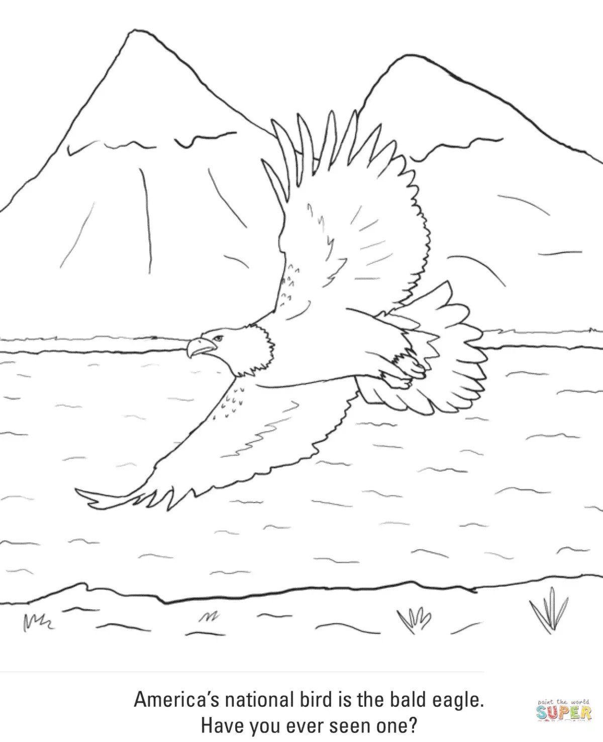 Горные птицы раскраска