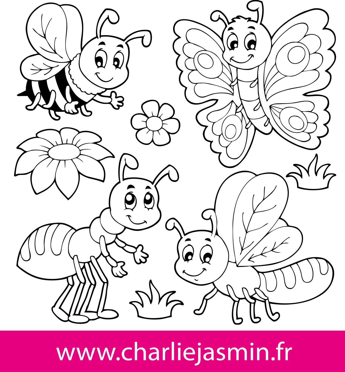 Раскраски для детей насекомые 2 шт на а4