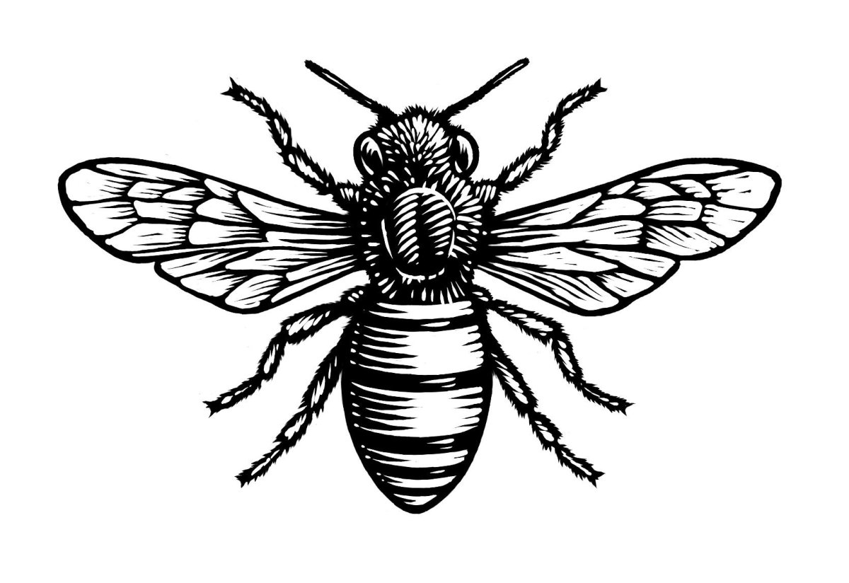 Эскизы насекомых