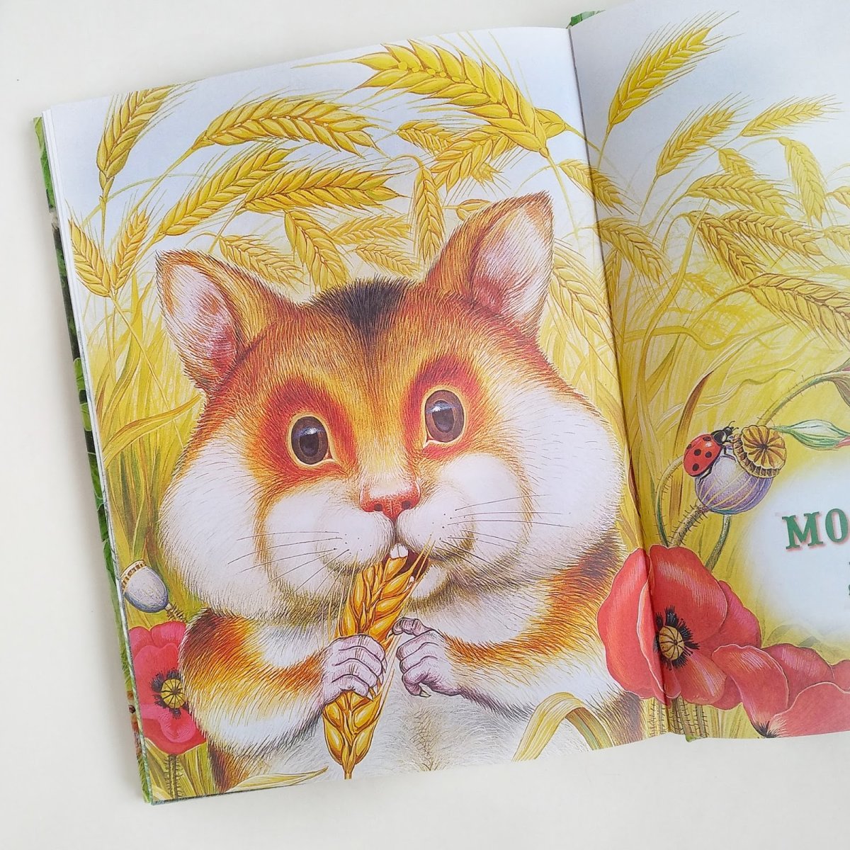 Таня Самошкина иллюстратор