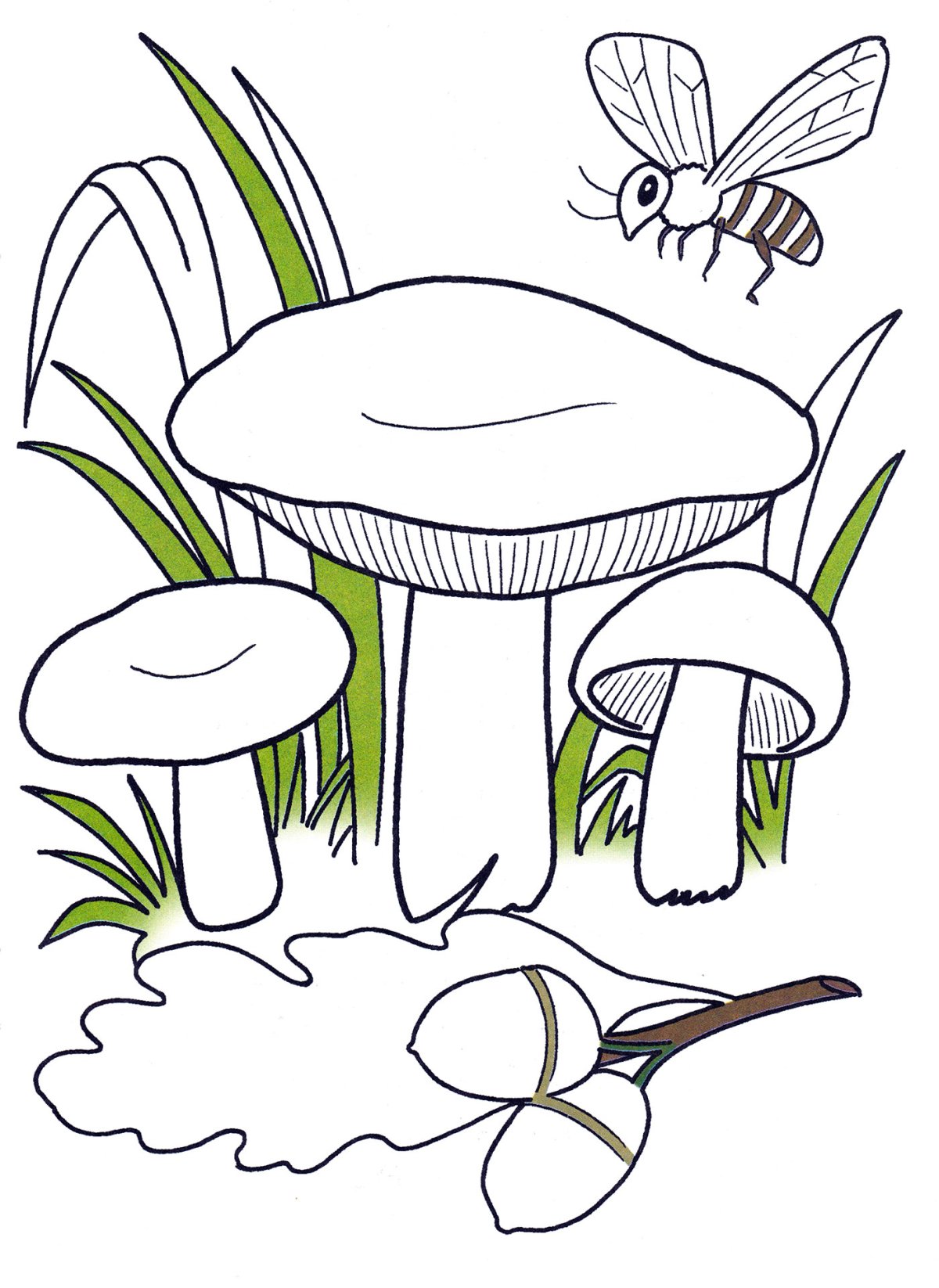 Гриб мухомор инди КИД